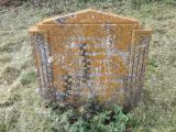 image of grave number 222067